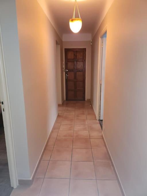 Residence Centrale Appartement 3 Pieces Garage Et Jardin アメリ・レ・バン・パラルダ エクステリア 写真