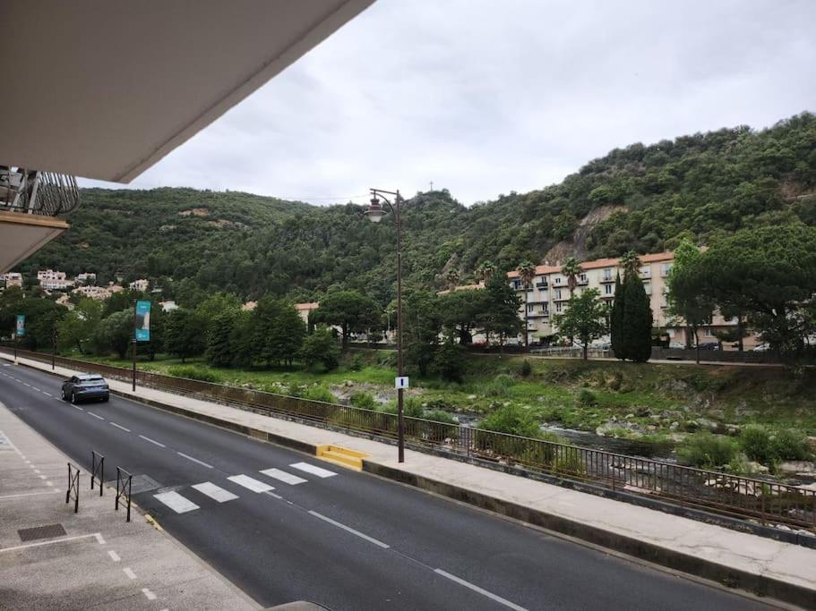 Residence Centrale Appartement 3 Pieces Garage Et Jardin アメリ・レ・バン・パラルダ エクステリア 写真