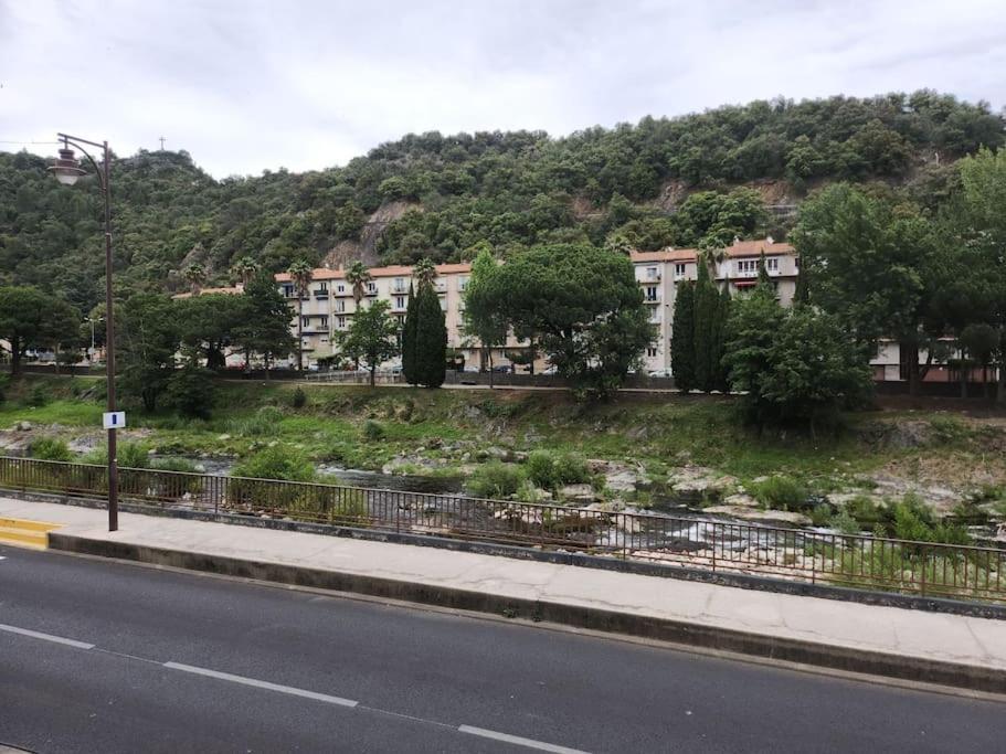 Residence Centrale Appartement 3 Pieces Garage Et Jardin アメリ・レ・バン・パラルダ エクステリア 写真