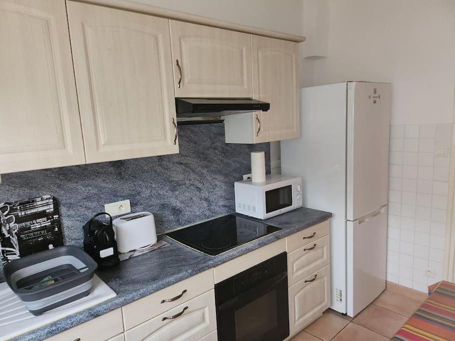Residence Centrale Appartement 3 Pieces Garage Et Jardin アメリ・レ・バン・パラルダ エクステリア 写真